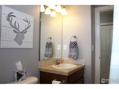 102 Veronica Dr, Windsor, CO 80550 photo 18