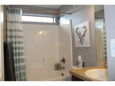 102 Veronica Dr, Windsor, CO 80550 photo 17