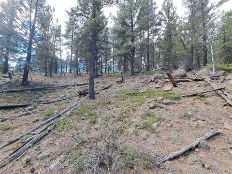 1077 Roland Dr, Bailey, CO 80421 photo 11