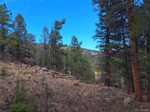1077 Roland Dr, Bailey, CO 80421 photo 6