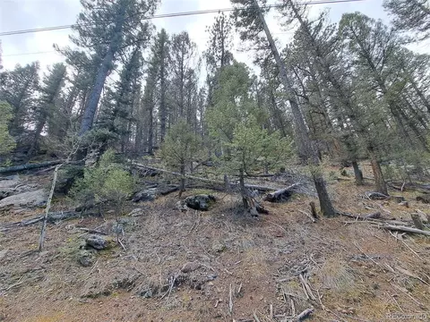 1077 Roland Dr, Bailey, CO 80421 photo 2