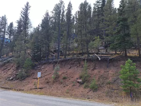 1077 Roland Dr, Bailey, CO 80421 photo 15