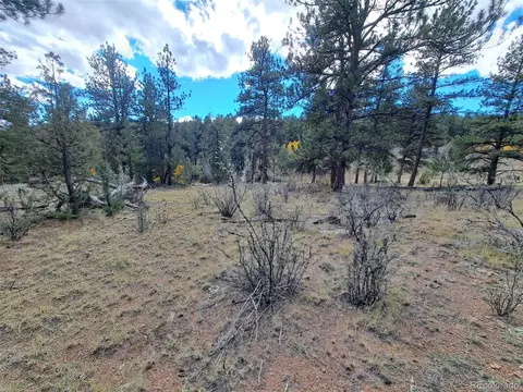 1077 Roland Dr, Bailey, CO 80421 photo 3