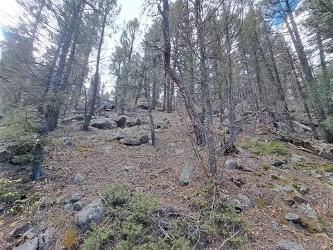 1077 Roland Dr, Bailey, CO 80421 photo 13