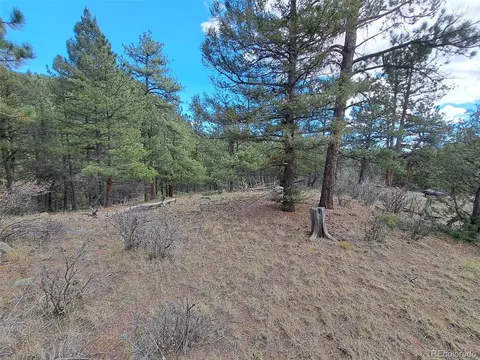1077 Roland Dr, Bailey, CO 80421 photo 9