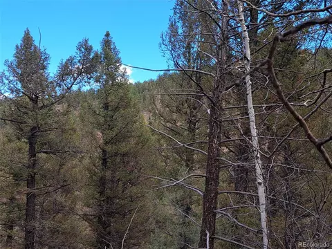 1077 Roland Dr, Bailey, CO 80421 photo 7