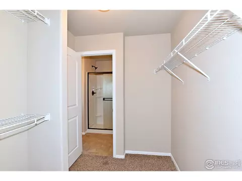 1781 Long Shadow Dr, Windsor, CO 80550 photo 30