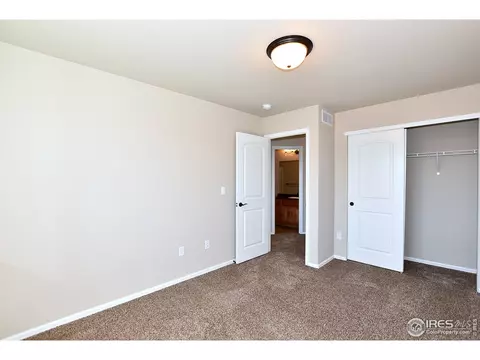 1781 Long Shadow Dr, Windsor, CO 80550 photo 38