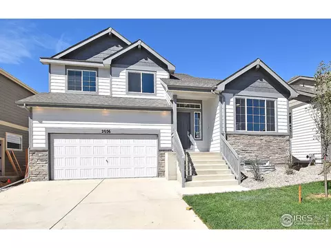 1781 Long Shadow Dr, Windsor, CO 80550 photo 2