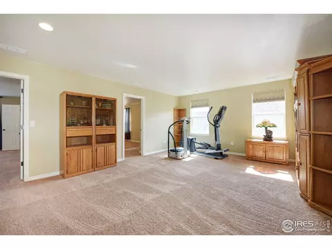 7937 E 139th Pl, Thornton, CO 80602 photo 22