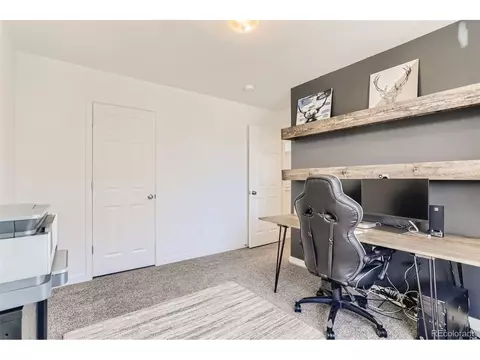 19079 E 54th Pl, Denver, CO 80249 photo 22