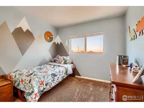 1010 E 78th Pl, Denver, CO 80229 photo 15