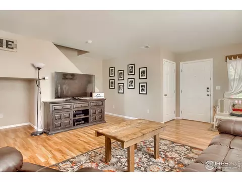 1010 E 78th Pl, Denver, CO 80229 photo 7