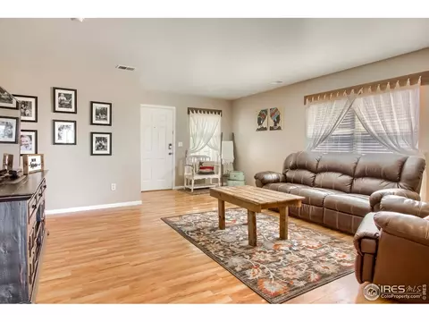 1010 E 78th Pl, Denver, CO 80229 photo 6