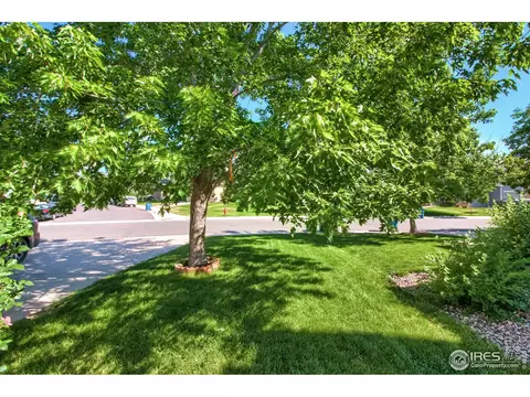 1010 E 78th Pl, Denver, CO 80229 photo 4