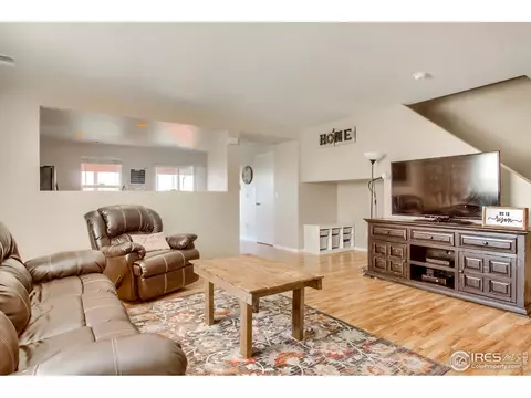 1010 E 78th Pl, Denver, CO 80229 photo 8
