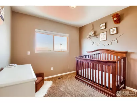 1010 E 78th Pl, Denver, CO 80229 photo 16