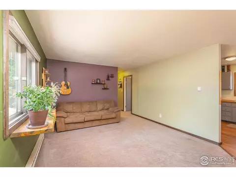 3516 Sabre Dr, Laporte, CO 80535 photo 4