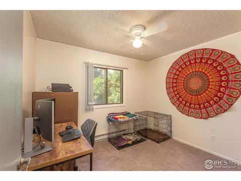 3516 Sabre Dr, Laporte, CO 80535 photo 12