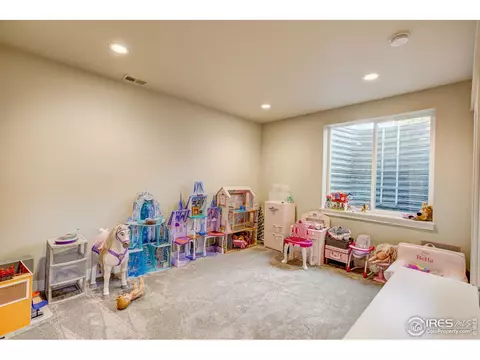 6085 Bay Meadows Dr, Windsor, CO 80550 photo 27