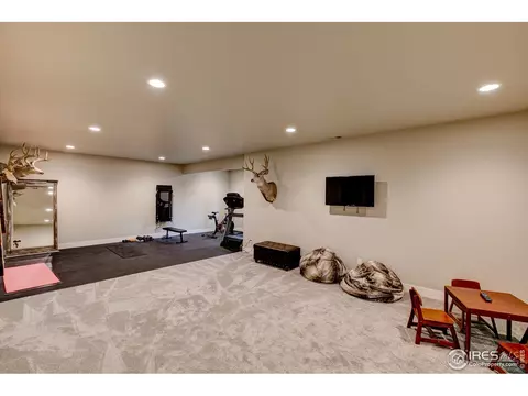 6085 Bay Meadows Dr, Windsor, CO 80550 photo 28