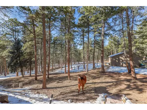 71 W Ranch Trl, Morrison, CO 80465 photo 42