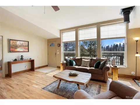63 Bear Claw Trl, Divide, CO 80814 photo 4