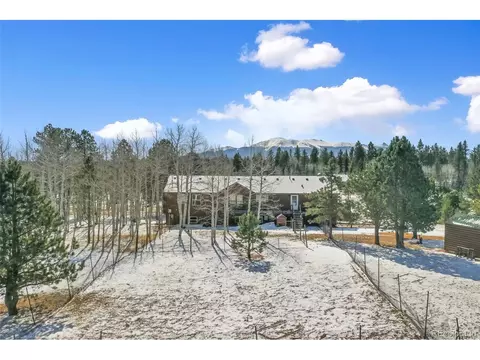 63 Bear Claw Trl, Divide, CO 80814 photo 2