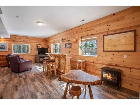 63 Bear Claw Trl, Divide, CO 80814 photo 22