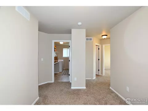1301 Roe Deer St, Windsor, CO 80550 photo 25