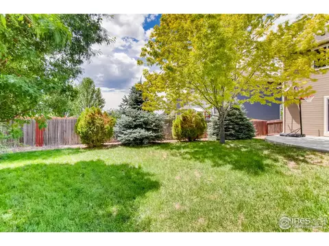 7983 Emerson Ave, Frederick, CO 80530 photo 23