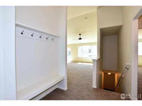 815 Sambar Dr, Severance, CO 80550 photo 3