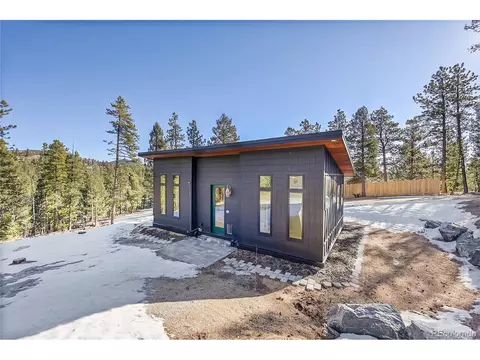 148 Ridge Ln, Bailey, CO 80421 photo 2