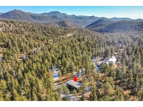 148 Ridge Ln, Bailey, CO 80421 photo 23