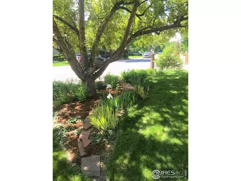 7433 Park Cir, Boulder, CO 80301 photo 31