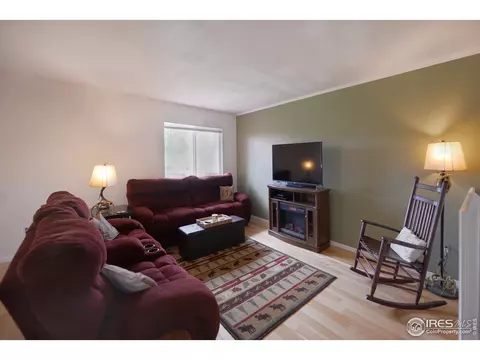 235 Cherry Ct, Windsor, CO 80550 photo 4