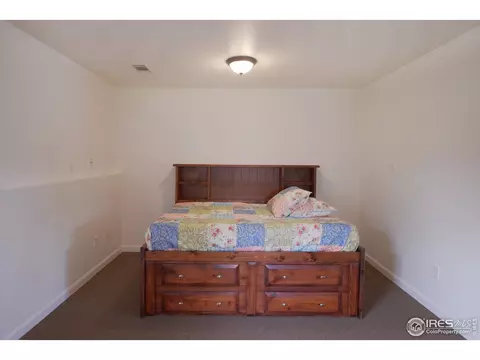 235 Cherry Ct, Windsor, CO 80550 photo 26