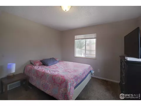 235 Cherry Ct, Windsor, CO 80550 photo 15