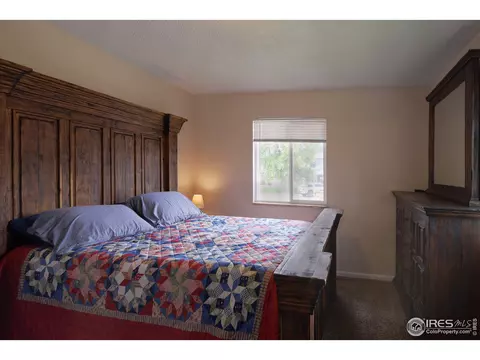 235 Cherry Ct, Windsor, CO 80550 photo 12