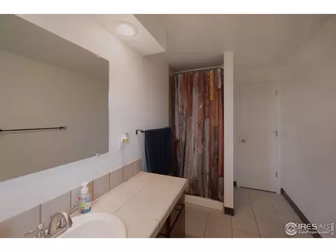235 Cherry Ct, Windsor, CO 80550 photo 28