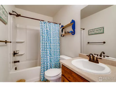 376 Mt Bross Ave, Severance, CO 80550 photo 21