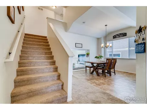 376 Mt Bross Ave, Severance, CO 80550 photo 15