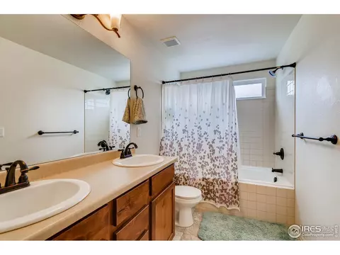 376 Mt Bross Ave, Severance, CO 80550 photo 20