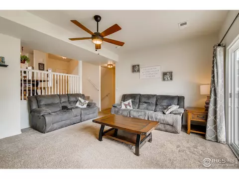 376 Mt Bross Ave, Severance, CO 80550 photo 8