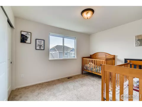 376 Mt Bross Ave, Severance, CO 80550 photo 19
