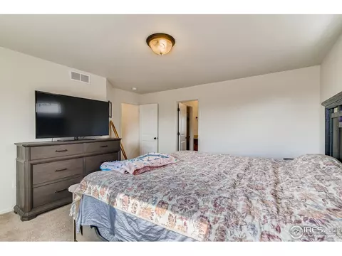 376 Mt Bross Ave, Severance, CO 80550 photo 17