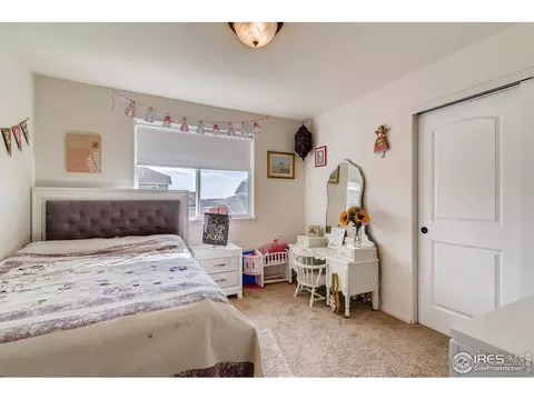 376 Mt Bross Ave, Severance, CO 80550 photo 22