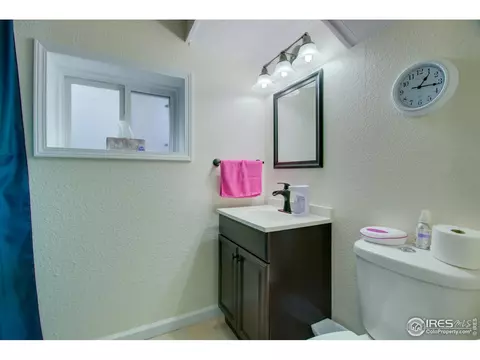 139 Ewald Ave, Lyons, CO 80540 photo 28