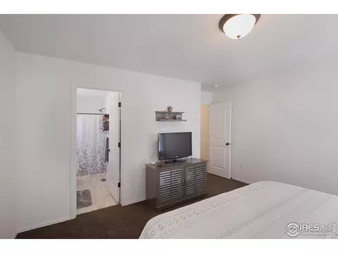 979 Cherrybrook Dr, Windsor, CO 80550 photo 19