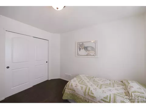979 Cherrybrook Dr, Windsor, CO 80550 photo 24